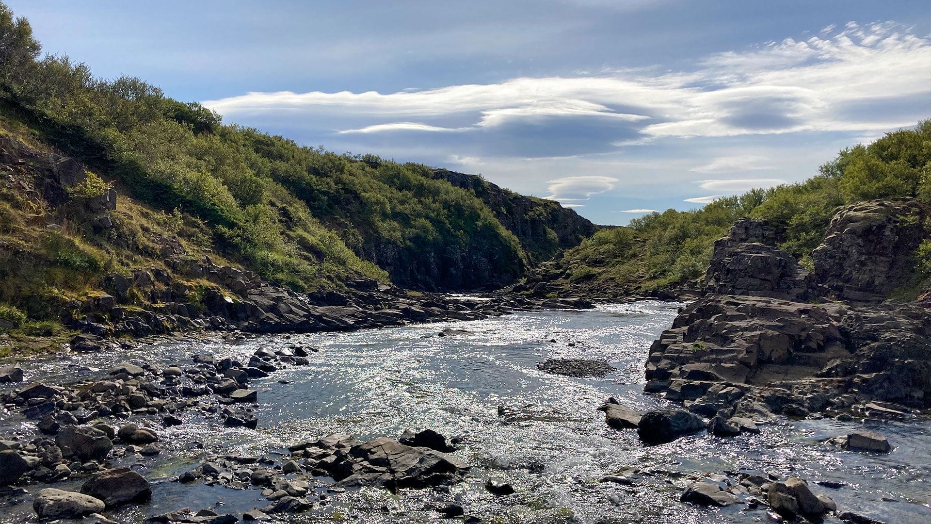 Árfarvegur.