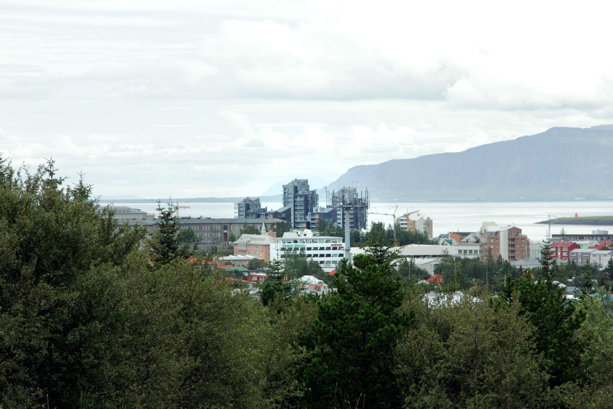 Mynd af byggingum í Reykjavík, trjágróður í forgrunni, sjór og esja í bakgrunni